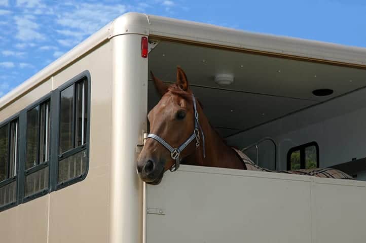 Horsebox Insurance