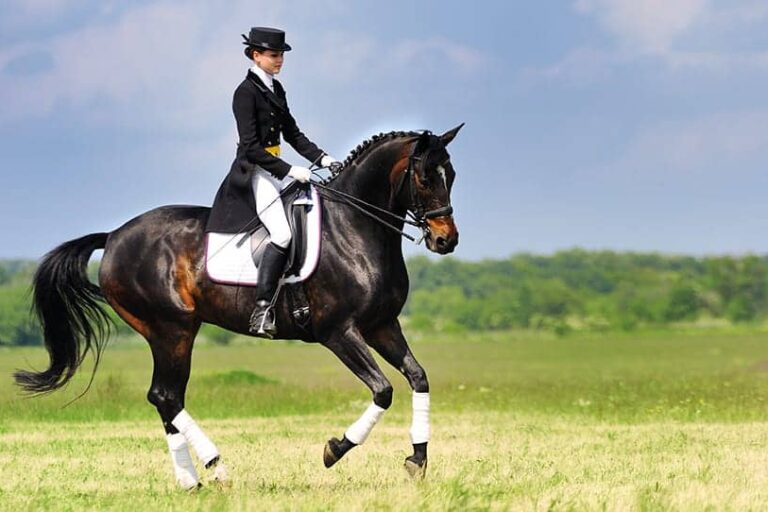 Best UK Equestrian Events