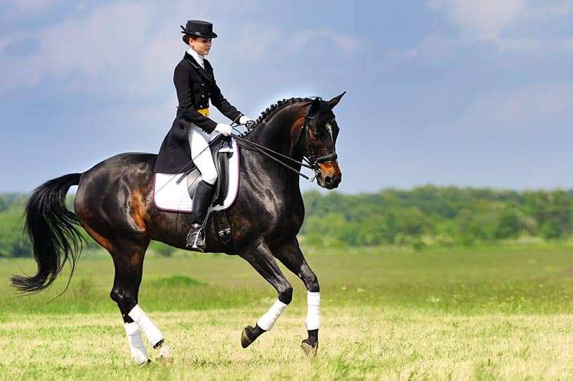 Best UK Equestrian Events